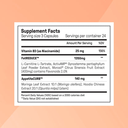 The Ultimate Weight Loss Protocol 3.0 PRO
